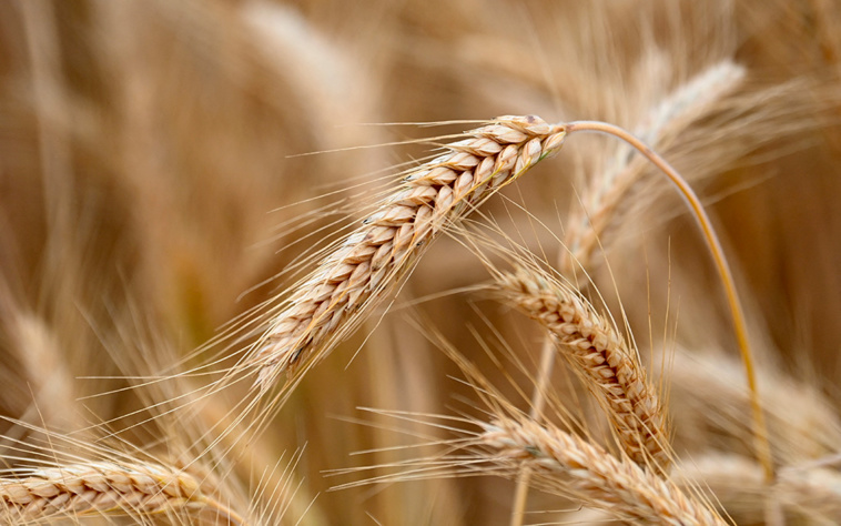 Christof STACHE / AFP Christof STACHE / AFP