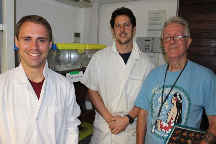 Les Partulas sont là!