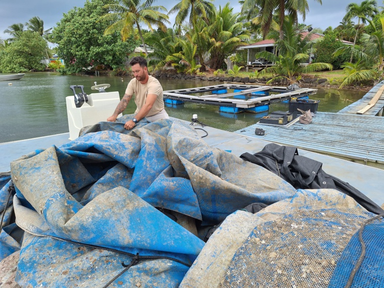 Toa Vivish a commencé à démonter ses cages cette semaine (Crédit : Anne-Charlotte Lehartel).