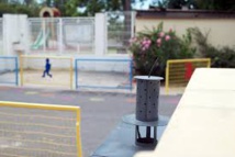 Une nouvelle méthode de démoustication testée en Camargue