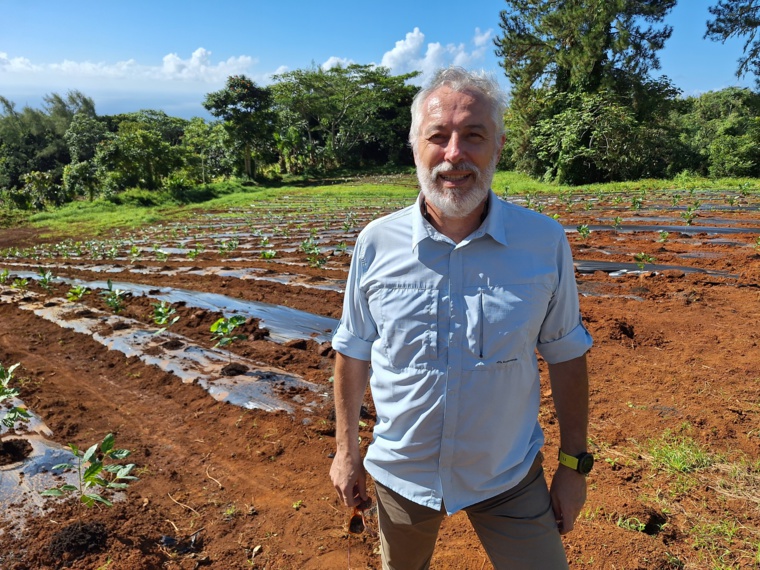 Relancer la filière du café local Relancer la filière du café local