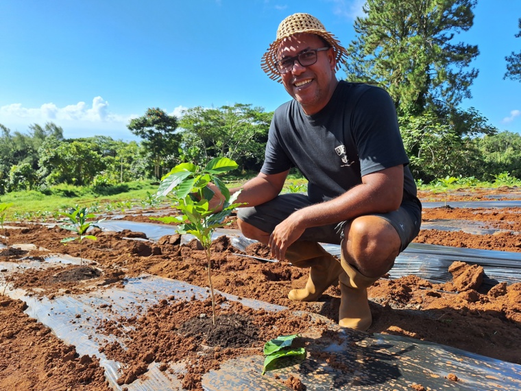 Relancer la filière du café local Relancer la filière du café local