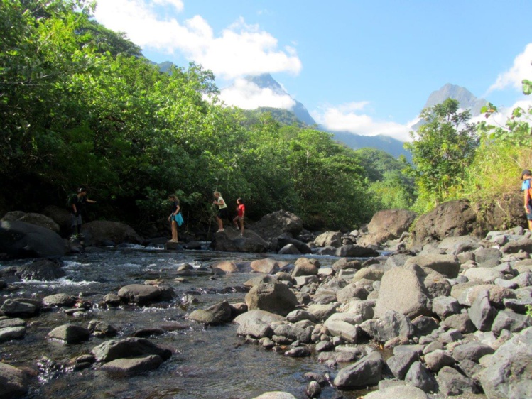 Pour se rafraîchir après une ascension difficile, les cours d'eau des plateaux ! En contrebas du refuge on peut se baigner dans des vasques naturelles de belle taille. Pour se rafraîchir après une ascension difficile, les cours d'eau des plateaux ! En contrebas du refuge on peut se baigner dans des vasques naturelles de belle taille.