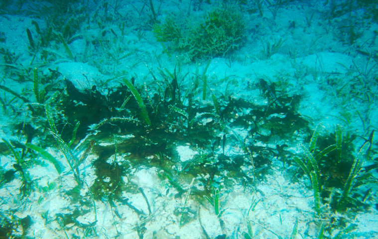 JEAN-LOUIS MENOU / AFP