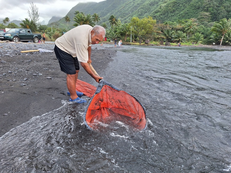 Alfred Teiho n’a eu qu’à tendre son épuisette. Alfred Teiho n’a eu qu’à tendre son épuisette.
