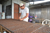 Il faut former les salariés de l'exploitation à l'agriculture biologique Il faut former les salariés de l'exploitation à l'agriculture biologique