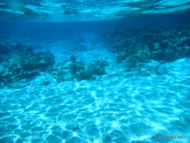 Une expertise collégiale sur les ressources minérales océaniques Une expertise collégiale sur les ressources minérales océaniques