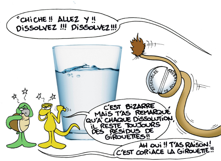 "Dissolution et girouettes" par Munoz "Dissolution et girouettes" par Munoz