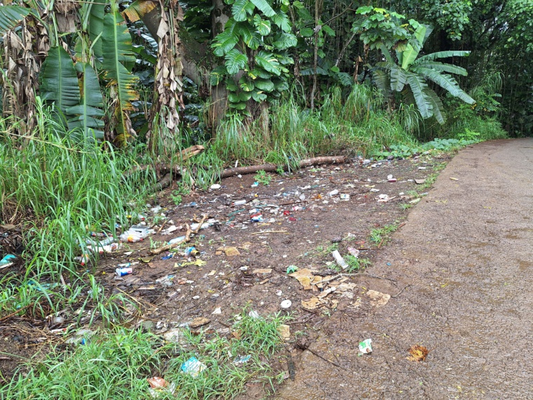 Grâce à la mobilisation des agents, le site n’est plus encombré, mais les incivilités persistent. Grâce à la mobilisation des agents, le site n’est plus encombré, mais les incivilités persistent.