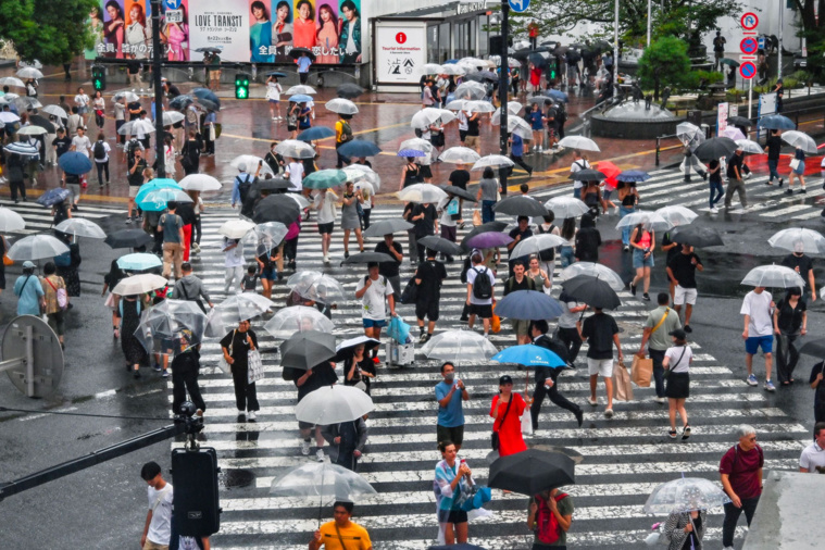 Crédit Richard A. Brooks / AFP Crédit Richard A. Brooks / AFP