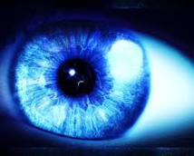 Faut-il s'équiper contre la lumière bleue de nos écrans ? Faut-il s'équiper contre la lumière bleue de nos écrans ?