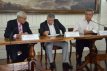 Tiripuna : Ua 'iriti te mau ha'avara'a hara rahi i teie hepetoma.