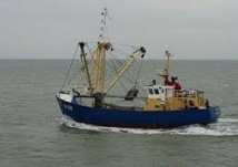 Un BTS pour faire des pêcheurs de demain des "sentinelles de la mer" Un BTS pour faire des pêcheurs de demain des "sentinelles de la mer"