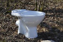 Danger, WC ! Une femme blessée dans l'explosion de toilettes en Autriche