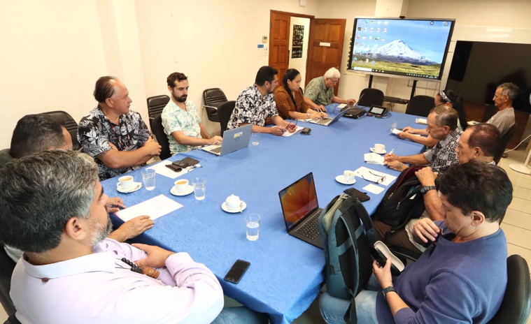 Les Hakaiki discutent développement avec Taivini Teai Les Hakaiki discutent développement avec Taivini Teai