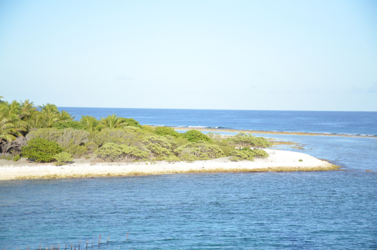 Le lagon de Tikehau Le lagon de Tikehau