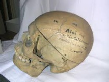 En Nouvelle-Calédonie, le crâne du guerrier Ataï fédère les communautés En Nouvelle-Calédonie, le crâne du guerrier Ataï fédère les communautés