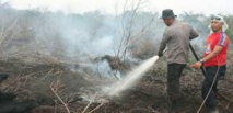 Des incendies pour la culture d'huile de palme: l'Indonésie s'attaque à des sociétés suspectes