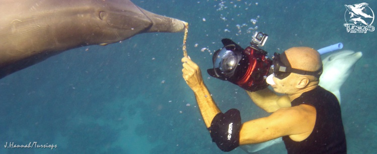 Éric Demay, l'homme qui murmurait à l'oreille des dauphins Éric Demay, l'homme qui murmurait à l'oreille des dauphins