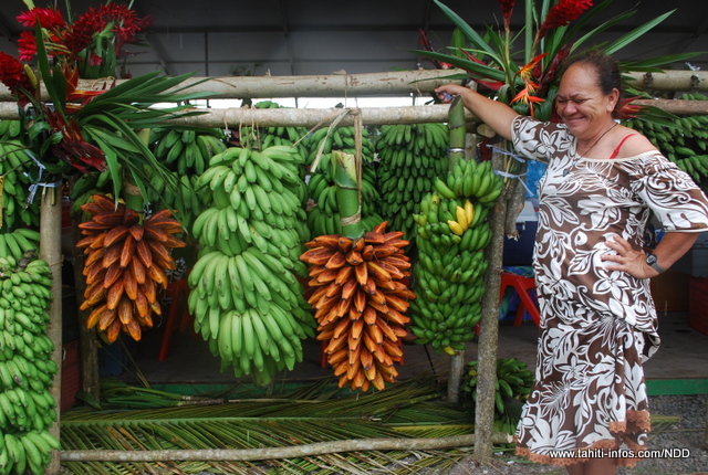 Priorité à l'installation des jeunes