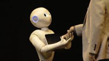 Le robot humanoïde n'est pas là pour assouvir les désirs charnels Le robot humanoïde n'est pas là pour assouvir les désirs charnels