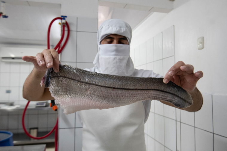 Crédit Ezequiel BECERRA / AFP Crédit Ezequiel BECERRA / AFP