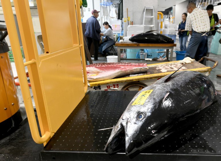 Prévis de grève chez Wild Tahitian Tuna, Vini Vini et Ocean Product Prévis de grève chez Wild Tahitian Tuna, Vini Vini et Ocean Product