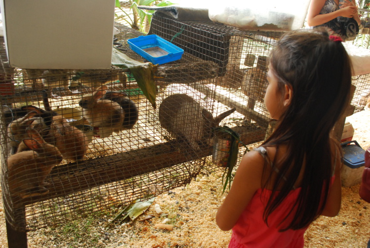 Journal des enfants: "Prépare ta visite à la Foire agricole" Journal des enfants: "Prépare ta visite à la Foire agricole"
