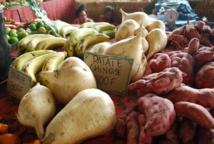 Journal des enfants: "Prépare ta visite à la Foire agricole" Journal des enfants: "Prépare ta visite à la Foire agricole"