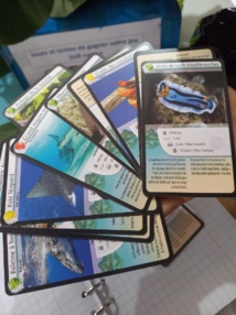 Sciences en fête : l’océan à l’honneur Sciences en fête : l’océan à l’honneur