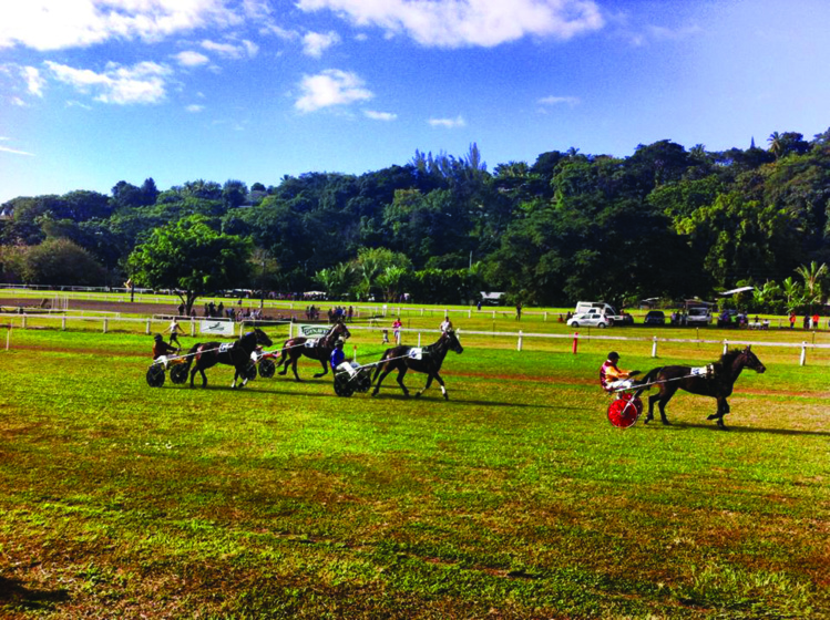 Cinq courses ce dimanche à l'hippodrome de Pirae Cinq courses ce dimanche à l'hippodrome de Pirae
