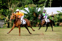 Cinq courses ce dimanche à l'hippodrome de Pirae Cinq courses ce dimanche à l'hippodrome de Pirae