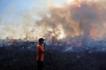 Indonésie: les incendies de forêts pourraient devenir les pires jamais connus Indonésie: les incendies de forêts pourraient devenir les pires jamais connus