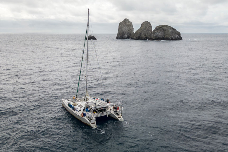 Luis ACOSTA / AFP Luis ACOSTA / AFP