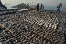 Les océans menacés par la pêche illégale et industrielle Les océans menacés par la pêche illégale et industrielle