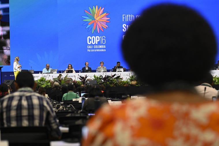 Joaquin Sarmiento / AFP Joaquin Sarmiento / AFP