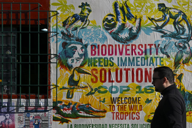 Crédit JOAQUIN SARMIENTO / AFP Crédit JOAQUIN SARMIENTO / AFP