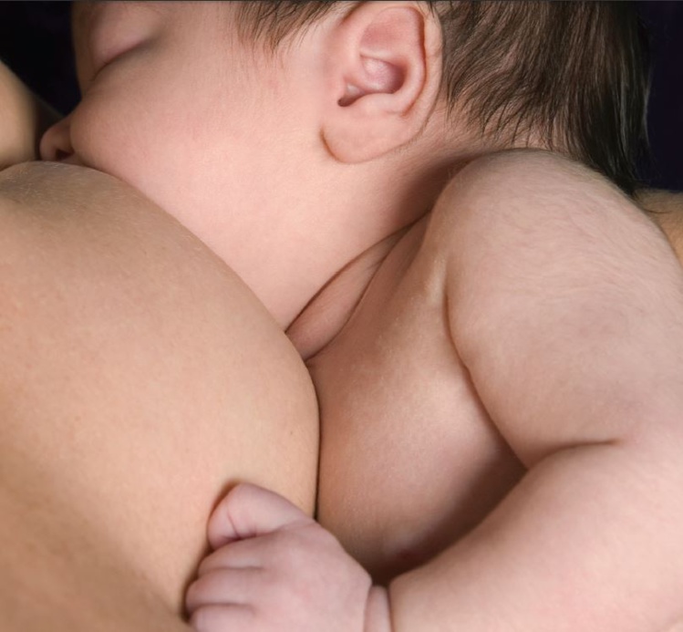 Lancement d'un concours inter-entreprises dans le cadre de la semaine de l'allaitement Lancement d'un concours inter-entreprises dans le cadre de la semaine de l'allaitement