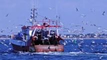 Rejets en mer de poissons: l'UE annonce quelques exemptions pour 2016