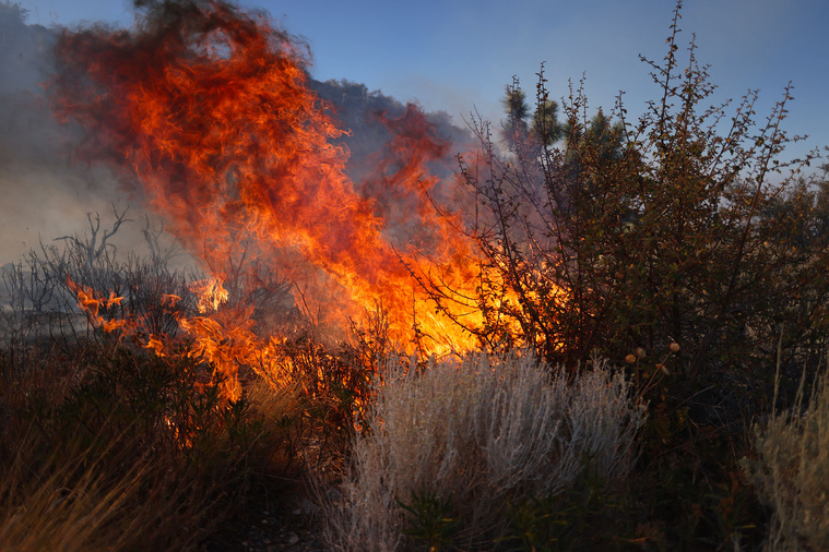 DAVID SWANSON / AFP DAVID SWANSON / AFP