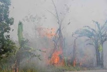 Incendies en Indonésie: l'aide internationale ne suffira pas Incendies en Indonésie: l'aide internationale ne suffira pas