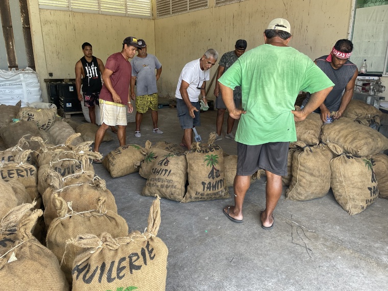 Coprah : l’humidimètre débarque à Hao Coprah : l’humidimètre débarque à Hao