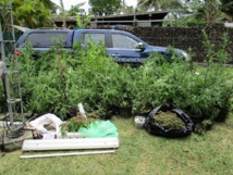 La drogue saisie a été détruite sur instruction du parquet. La drogue saisie a été détruite sur instruction du parquet.