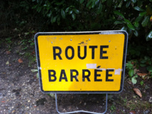 Chute d'un arbre sur la RT1 à Taravao, circulation bloquée la nuit dernière Chute d'un arbre sur la RT1 à Taravao, circulation bloquée la nuit dernière