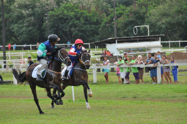 Départ de la première course à 14h30. (Photo : DR) Départ de la première course à 14h30. (Photo : DR)