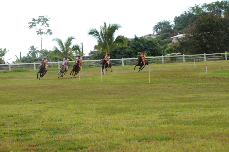 Avis aux amateurs, l'Association hippique est ouverte aux jeunes qui souhaitent découvrir l'univers des courses, et il est tout à fait possible de rapidement se retrouver acteur de ces journées de courses ! (Photo : DR) Avis aux amateurs, l'Association hippique est ouverte aux jeunes qui souhaitent découvrir l'univers des courses, et il est tout à fait possible de rapidement se retrouver acteur de ces journées de courses ! (Photo : DR)