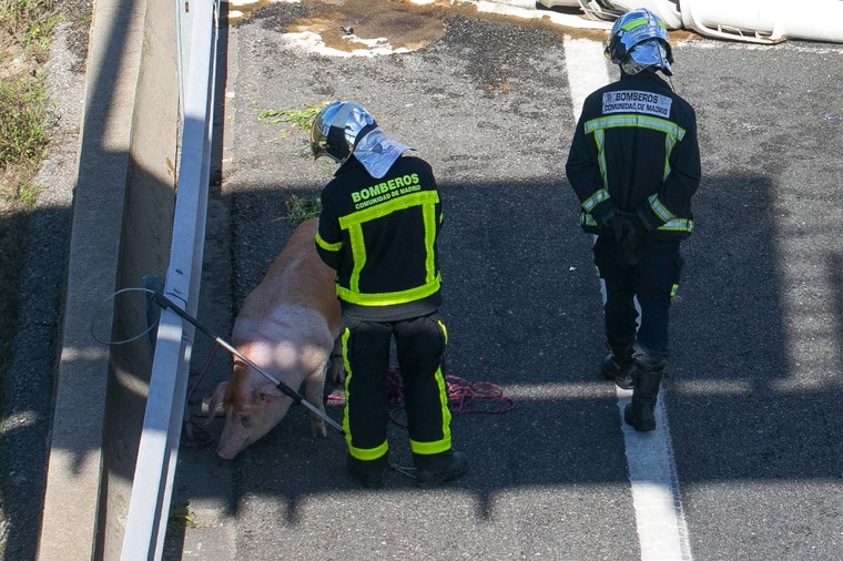 Crédit Dani Sanchez / AFP Crédit Dani Sanchez / AFP