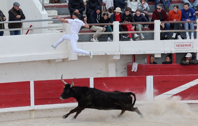 Crédit Pascal GUYOT / AFP Crédit Pascal GUYOT / AFP