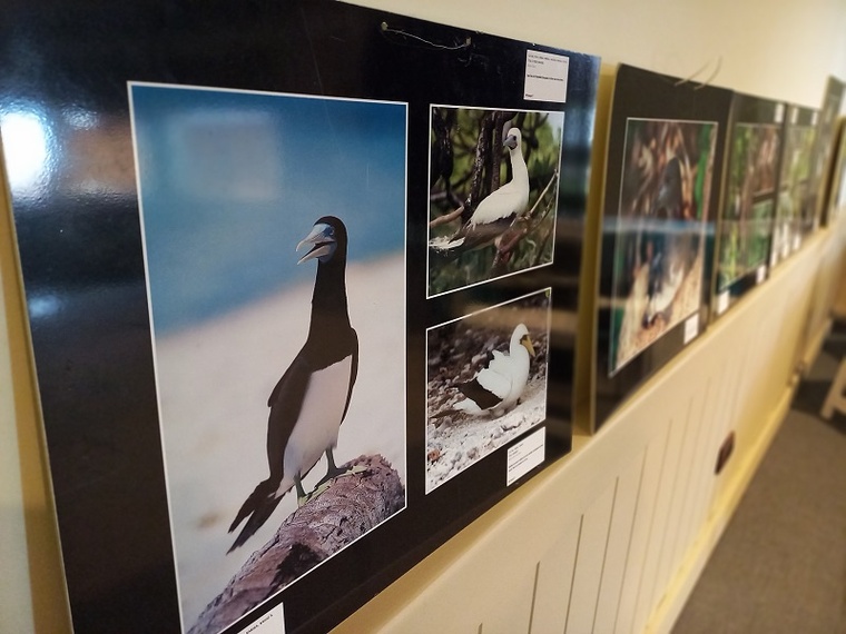 La SOP Manu inaugure le projet Life Stop Extinction La SOP Manu inaugure le projet Life Stop Extinction