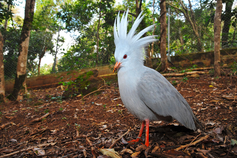 Photo d'archives. Crédit MARC LE CHELARD / AFP Photo d'archives. Crédit MARC LE CHELARD / AFP